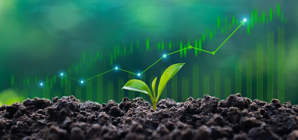 Why your Supply Chain Risk Score is now your Green Finance Score